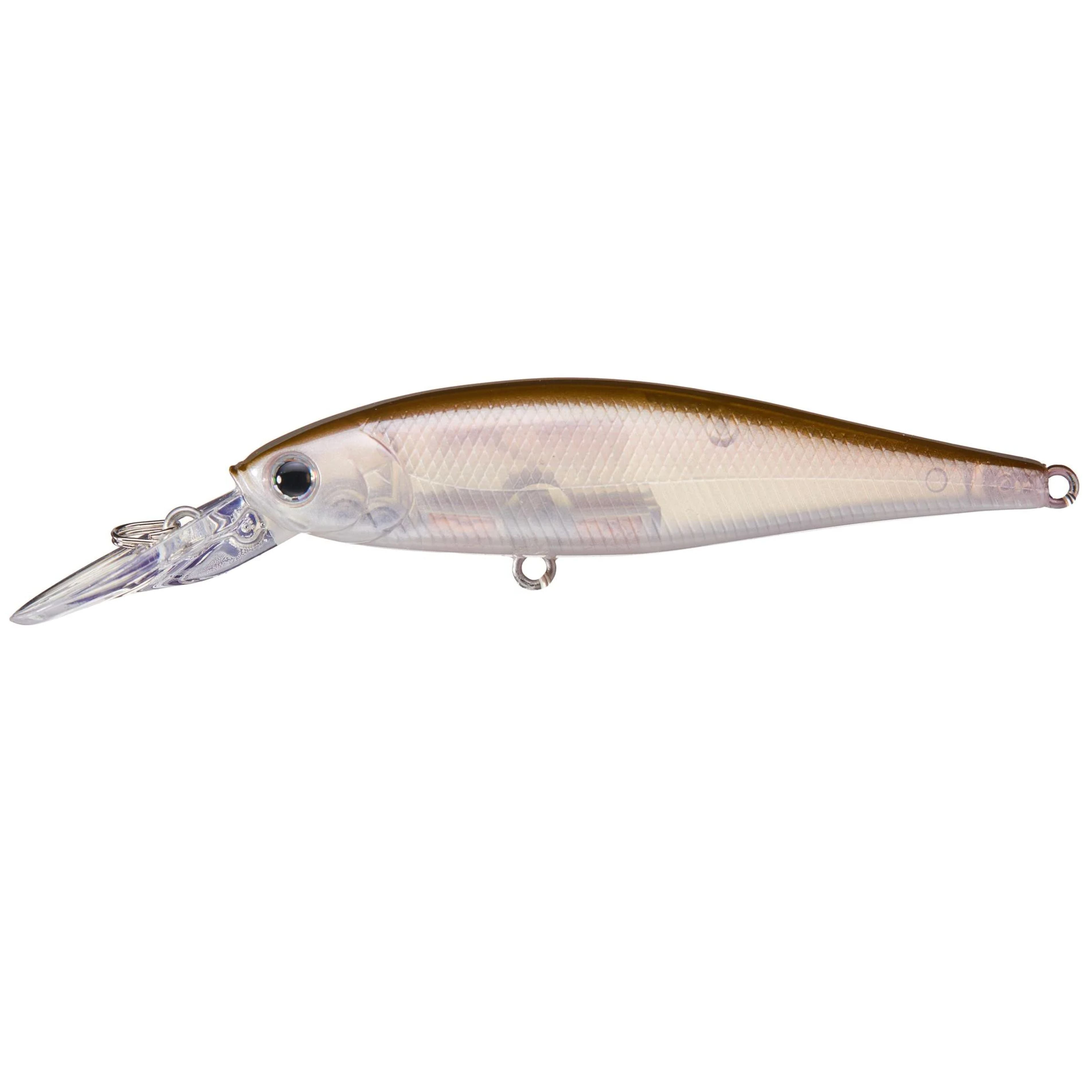 Chartresuse Shad