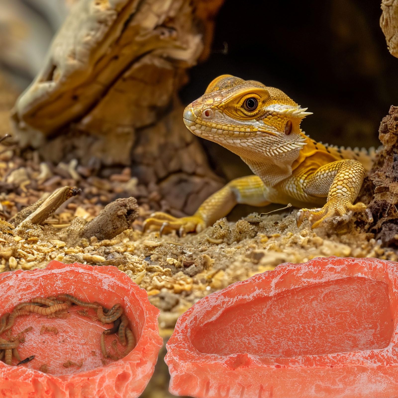 Hyggerzoo 2-Pack Reptile Water Dish & Food Bowl - Durable Resin Corner Feeder for Bearded Dragons, Leopard Geckos, Hermit Crabs, Turtles & Snakes - Perfect for Terrarium, Vivarium & Reptile Tank Accessories (Orange)