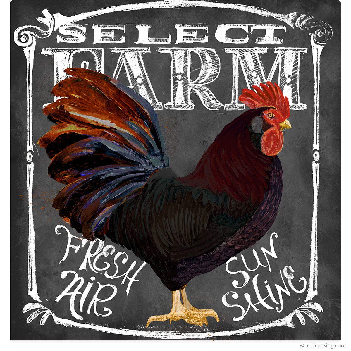 Select Farm Rooster Chalk Art Wall Decal 24x24 Inch - Vintage Kitchen Decor for Farmhouse, Country Style Home & Cafe Wall Art