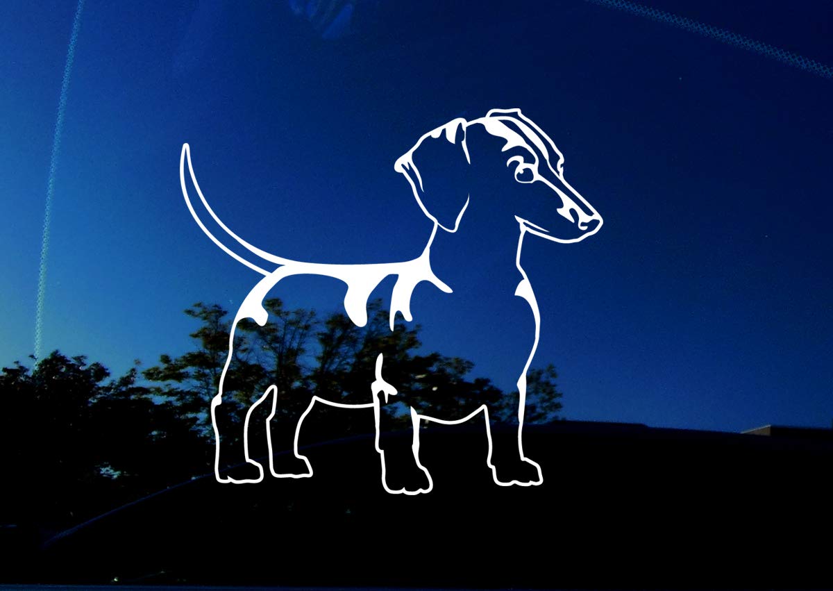 Wiener Dog Dachshund Decal Sticker - 5.7 x 5.2 Inches - Waterproof Vinyl for Cars, Windows, Laptops - Cute Pet Lover Gift for Dog Owners - Perfect for Personalizing Vehicles, Home Decor & Tech Accessories