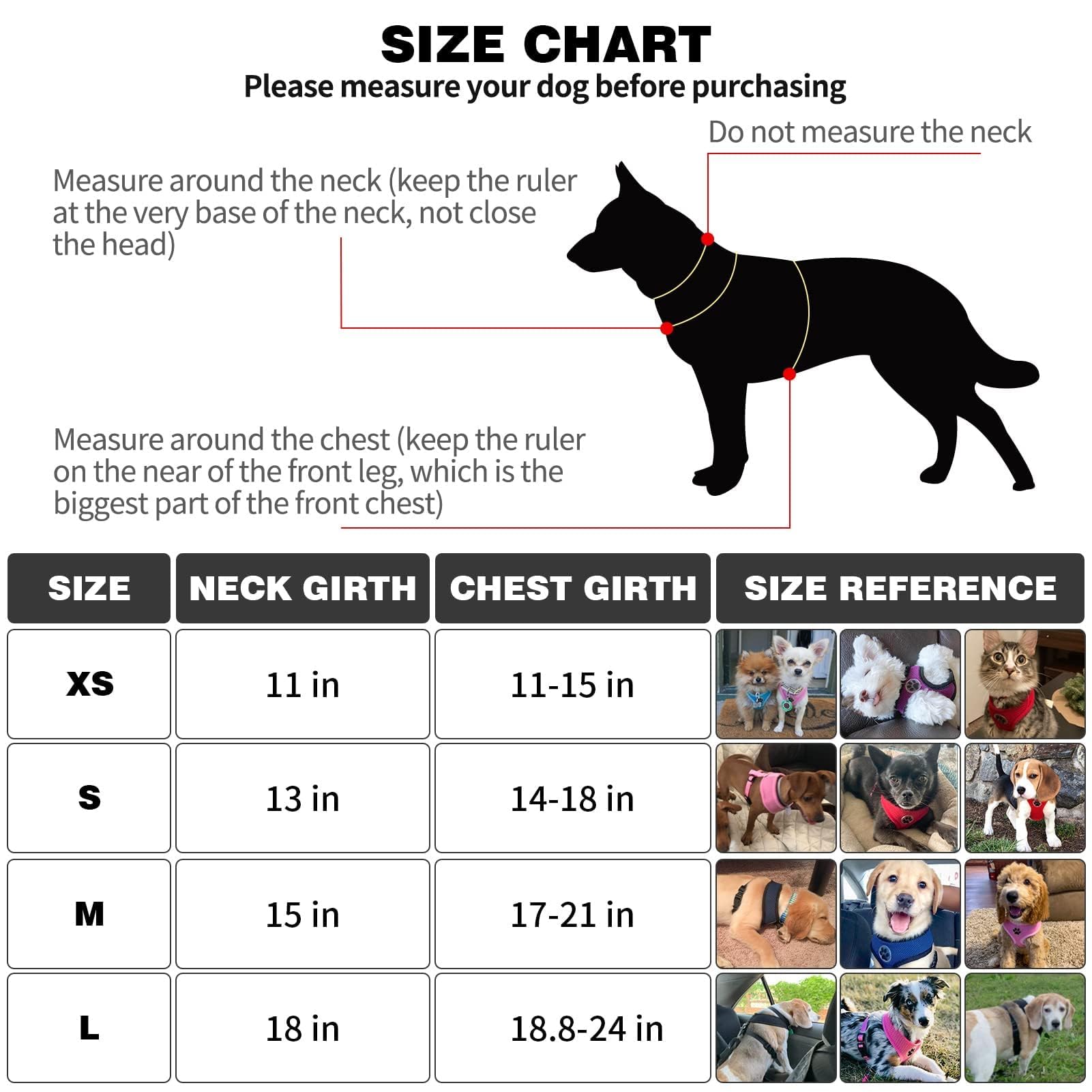 BINGPET Small & Medium Dog Harness - Breathable Mesh No-Pull Adjustable Pet Vest for Puppies & Cats | Perfect for Walking, Training & Outdoor Adventures