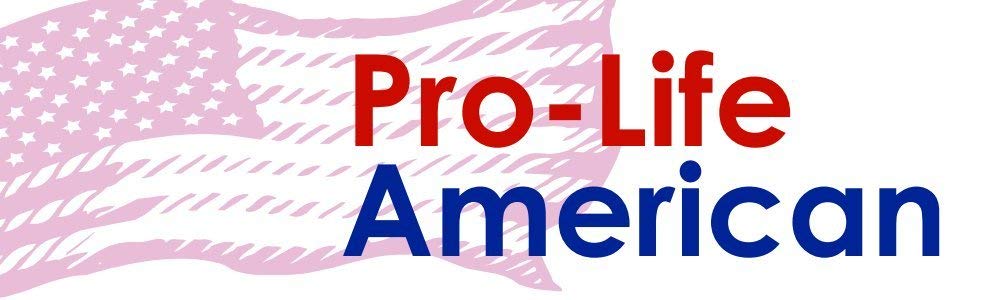 Pro-Life Car Magnet - 5