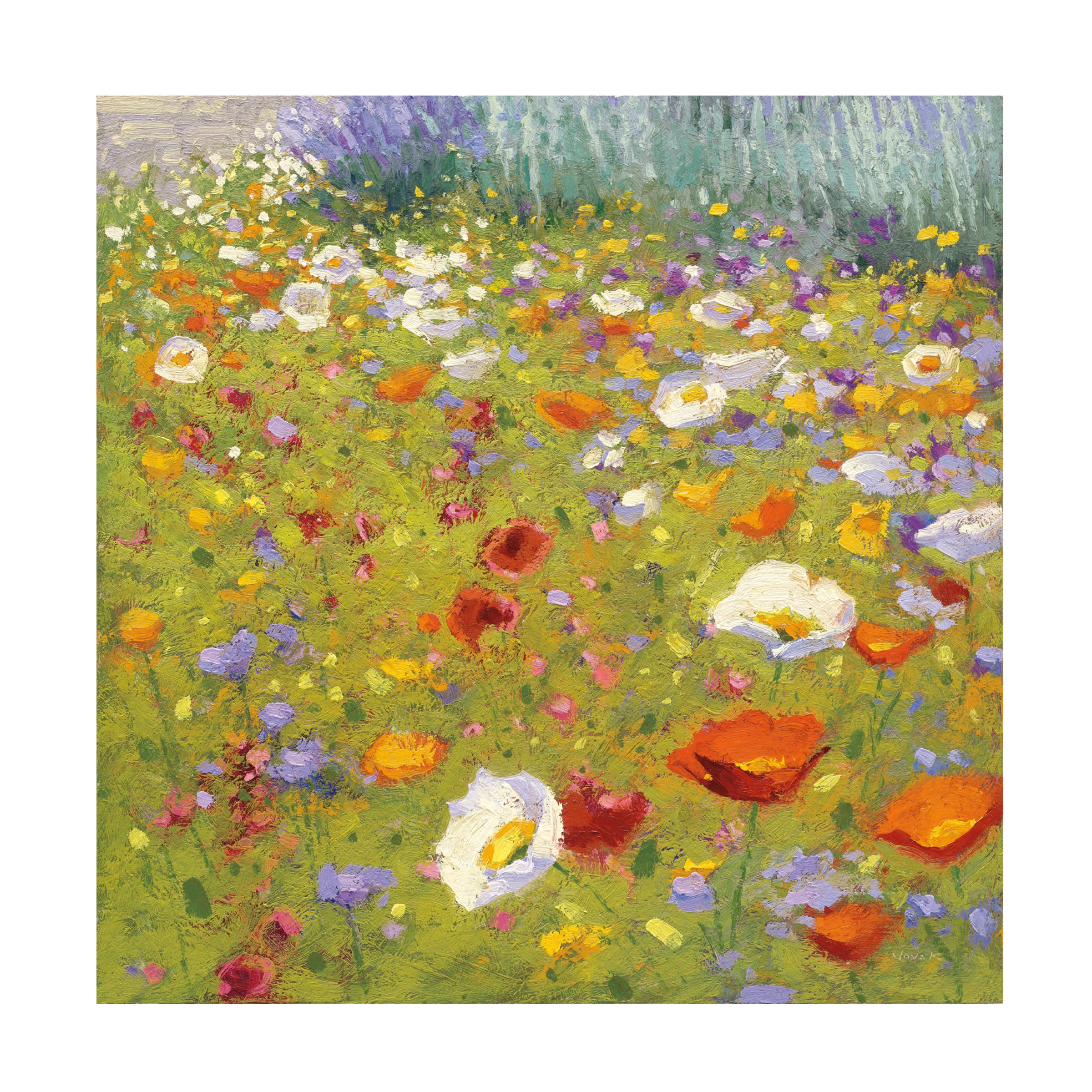 Trademark Fine Art 'Champ de Fleur II' Canvas Wall Art by Shirley Novak - Floral Landscape Painting for Living Room, Bedroom & Office Decor