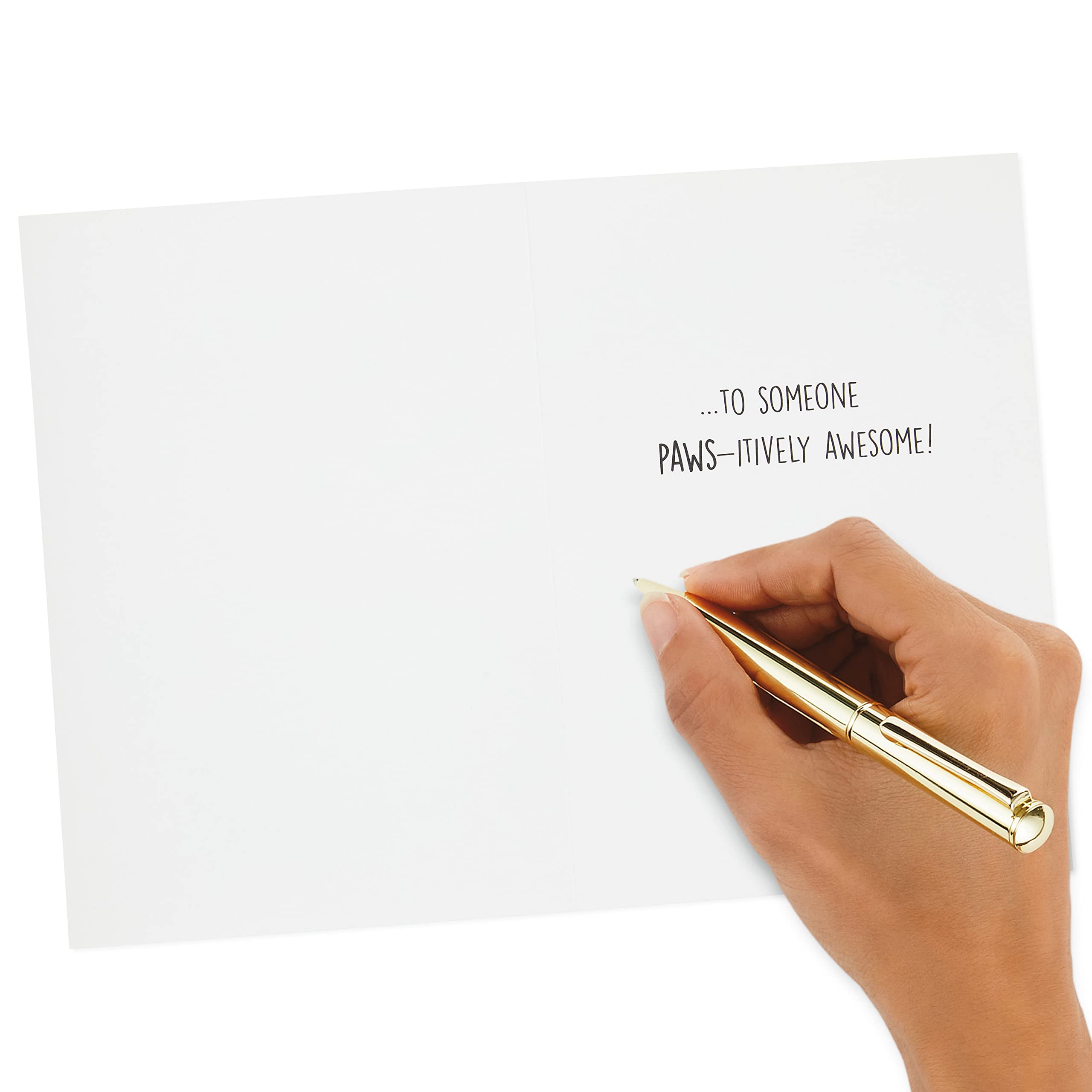 Hallmark Birthday Cards Assortment - 16 Unique Party Animals Greeting Cards with Envelopes | Perfect for Birthdays, Celebrations & Special Occasions
