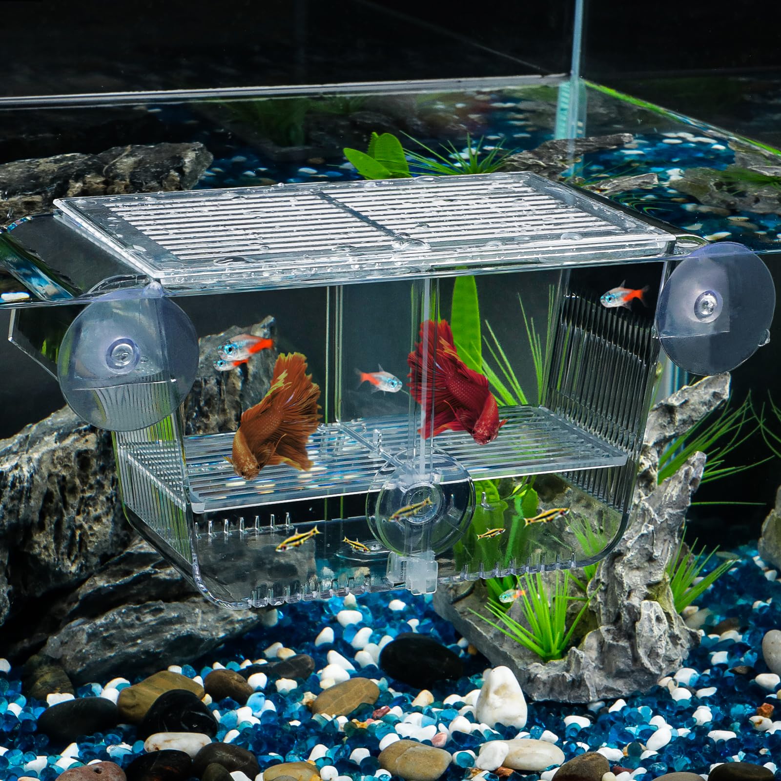 Pawfly Acrylic Aquarium Fish Breeding Box with 6 Suction Cups - Medium Fish Tank Hatchery Incubator for Baby Fish, Shrimp, Betta, Guppy, Platy - Perfect for Breeding, Acclimation & Isolating Aggressive Fish - Great for Home Aquariums & Fish Farms
