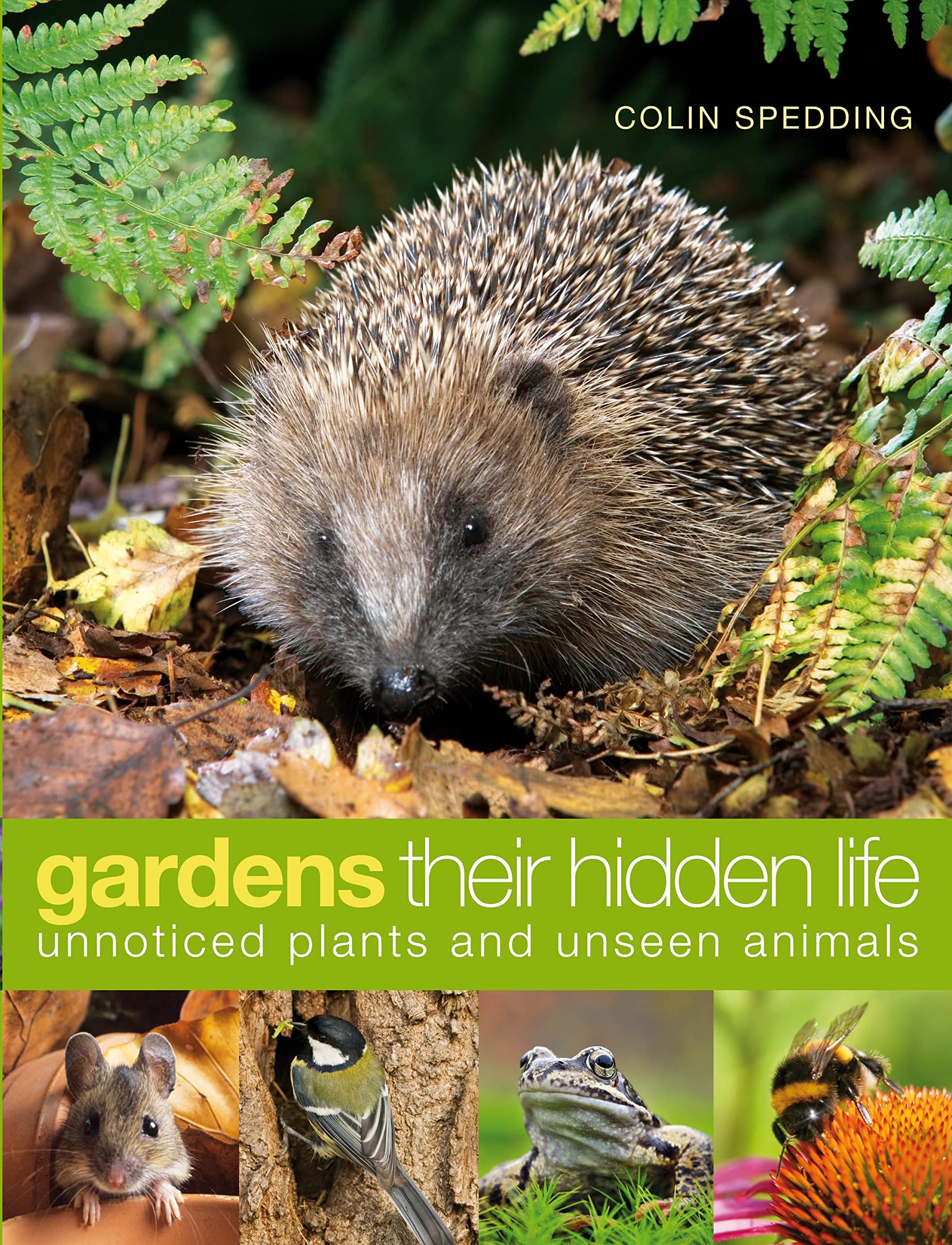 Gardens: Their Hidden Life - Discover Unnoticed Plants and Unseen Animals | Perfect for Nature Lovers, Garden Enthusiasts & Wildlife Explorers