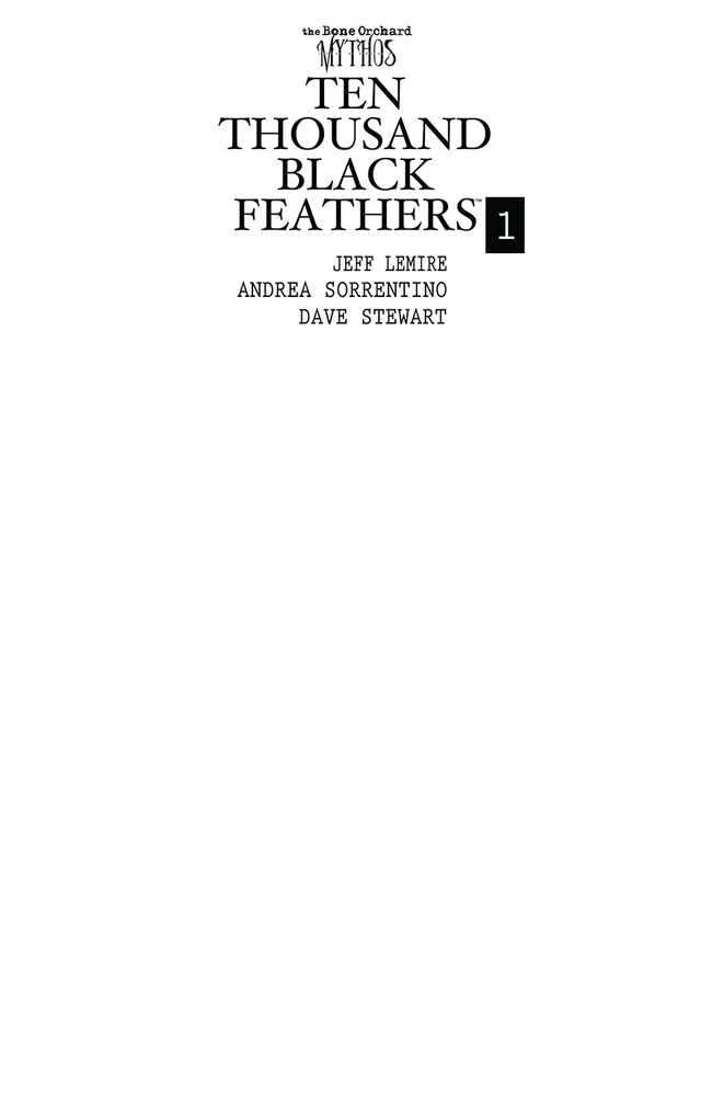 Bone Orchard Black Feathers #1 (Of 5) Cover D Blank Sketch Cover - Comic Book for Collectors & Artists | Perfect for Sketching, Custom Art, and Display