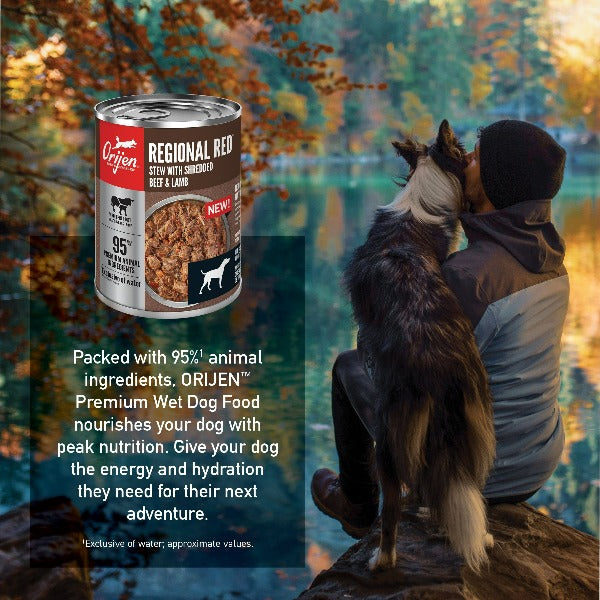 Orijen Regional Red Grain-Free Canned Dog Food - High Protein, Natural Ingredients for Adult Dogs - Perfect for Mealtime & Training Rewards