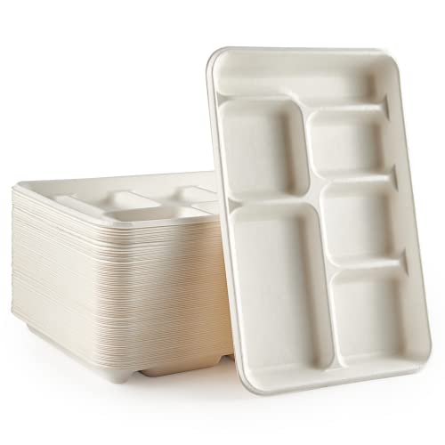 6 Compartment White