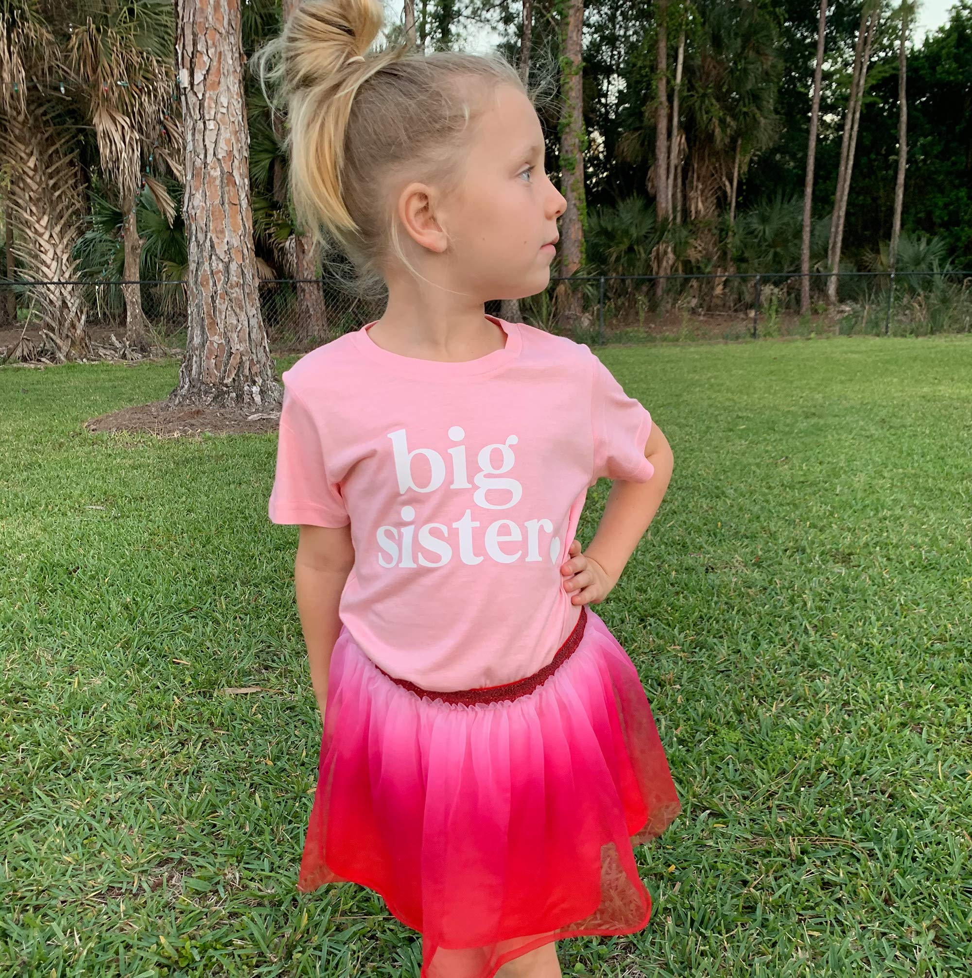 Big Sister & Little Sister Matching Sibling Reveal T-Shirts for Toddler Girls - Cute Baby Announcement Outfit for Family Photos & Gender Reveal Parties