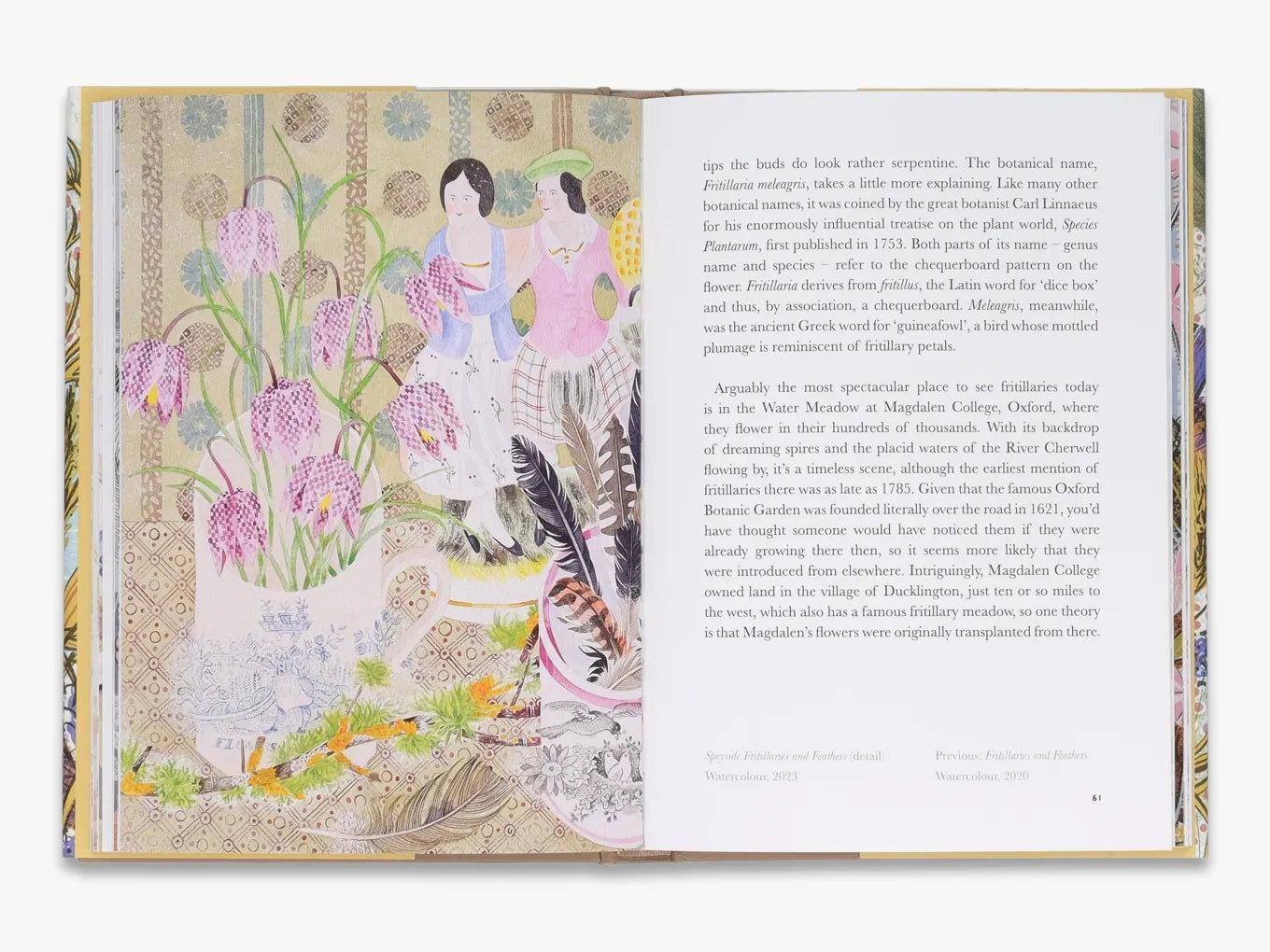 The Book of Wild Flowers - A Comprehensive Guide to North American Wildflowers | Perfect for Nature Lovers, Hikers & Gardeners