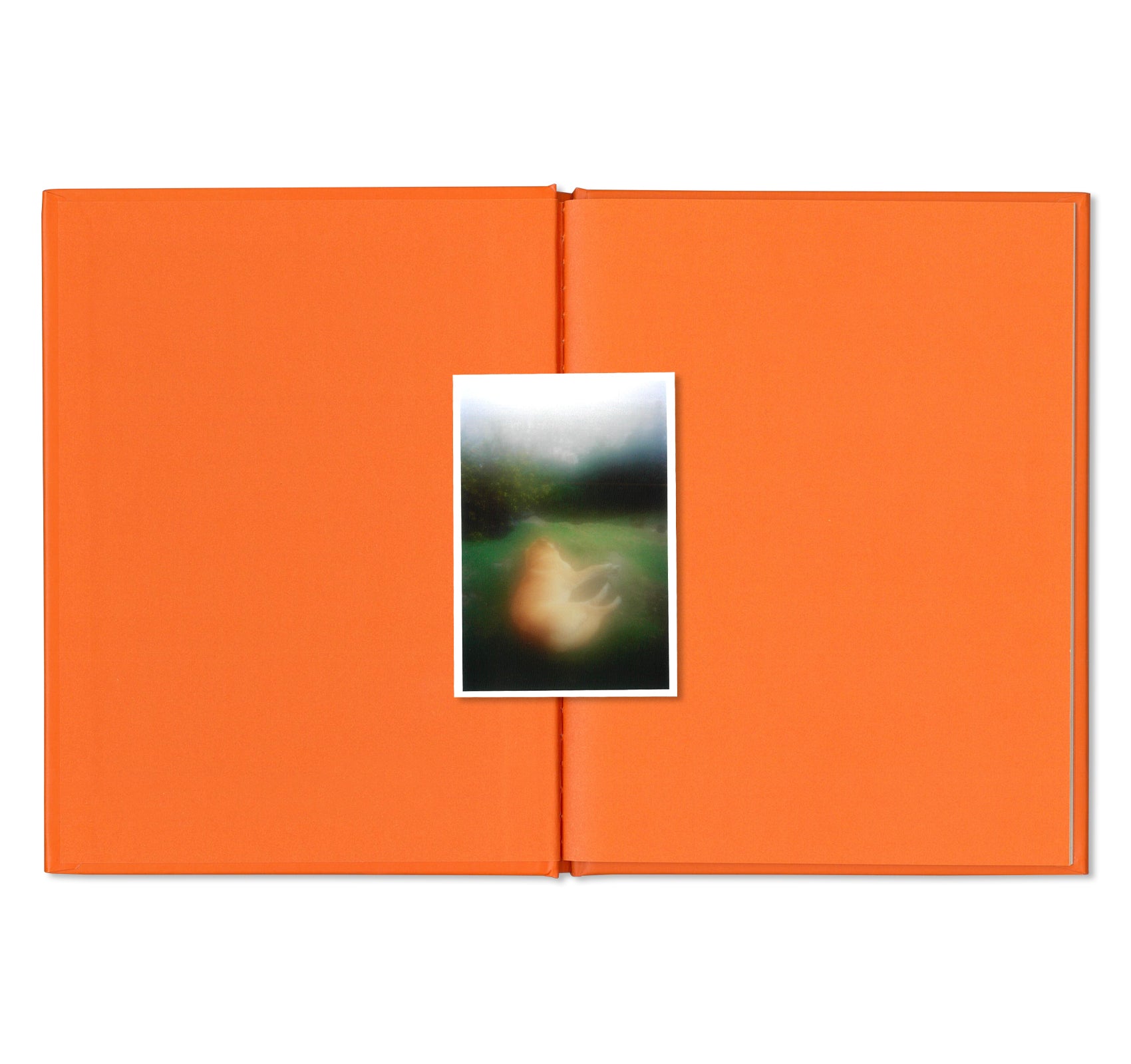 Alec Soth's BOGOTÁ FUNSAVER - ONE PICTURE BOOK #88 | Photography Art Book | Perfect for Collectors & Travel Photography Enthusiasts