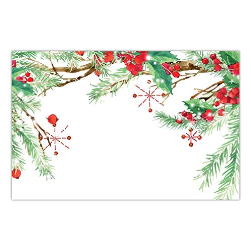 Holly Evergreen