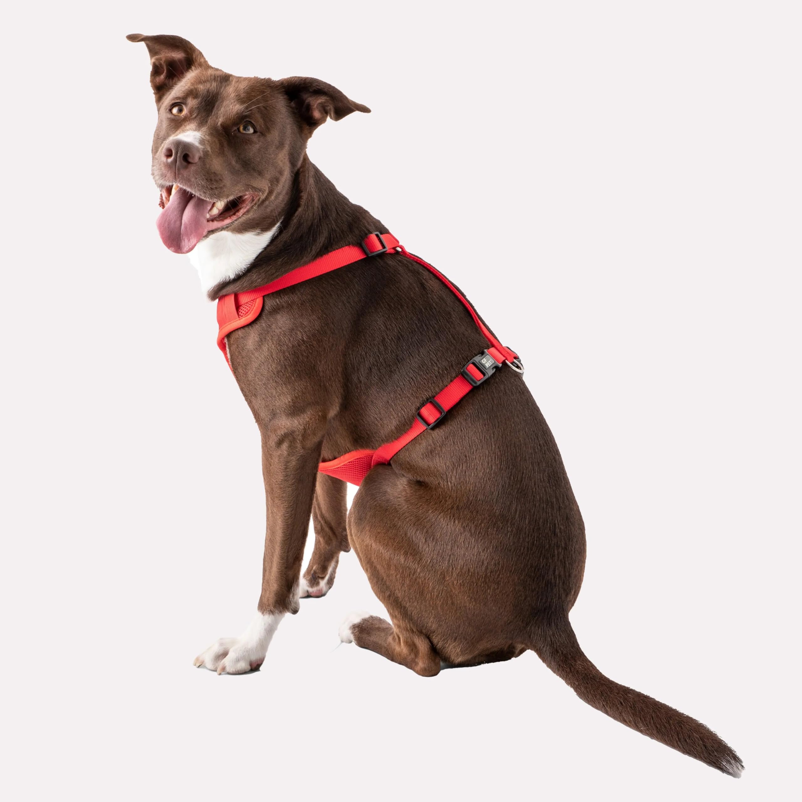 Premium Red Travel Harness for Dogs - Adjustable & Secure Pet Safety Gear - Perfect for Hiking, Camping & Outdoor Adventures