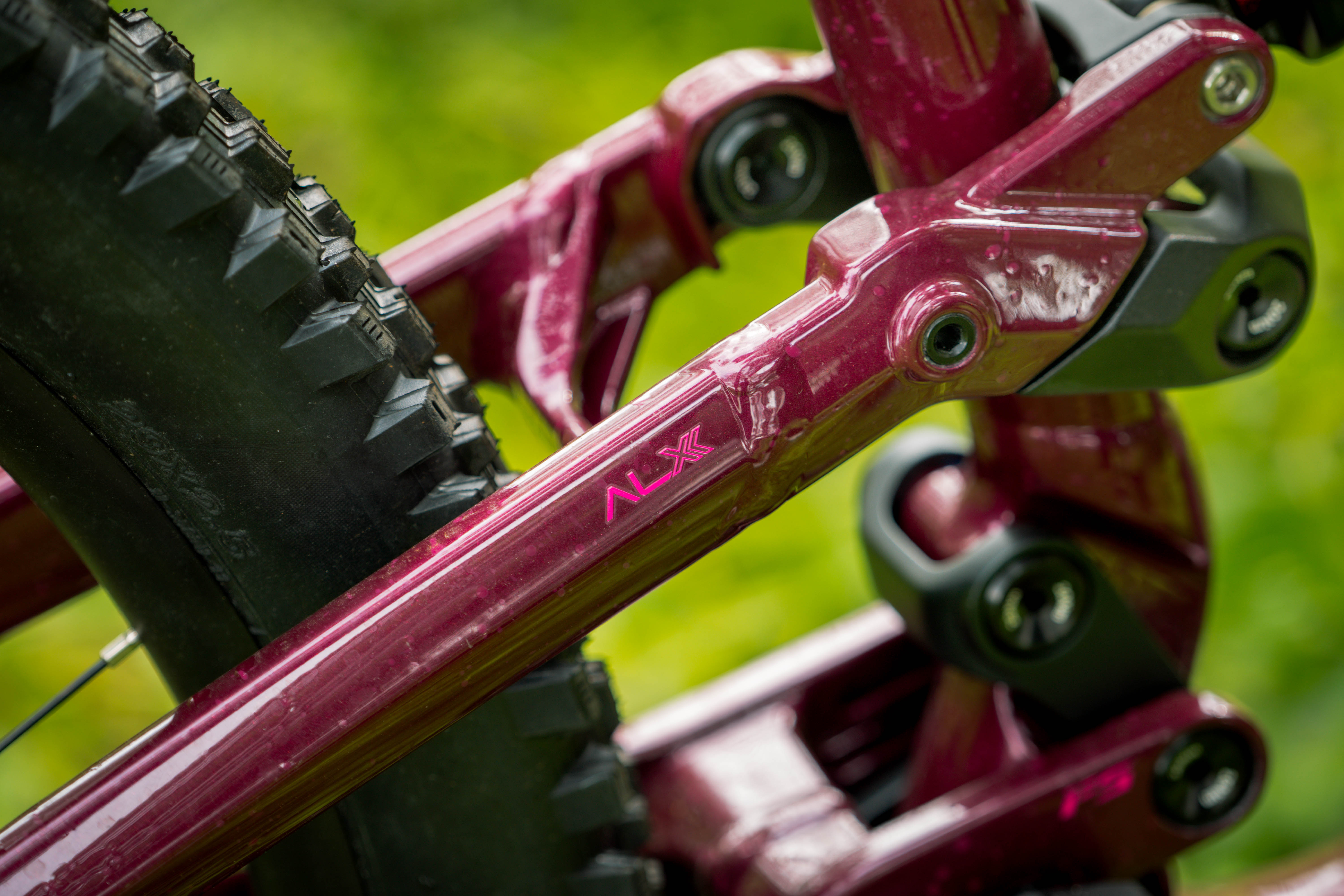 Polygon Collosus N9 Enduro Mountain Bike - 29