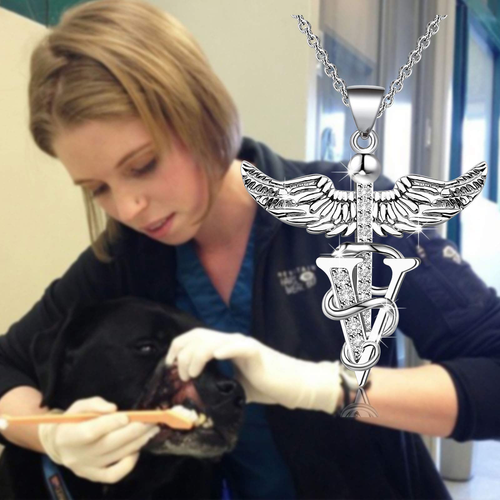 PLITI Vet Tech Jewelry - Veterinarian Graduation & Appreciation Gifts for Women, Vet School Students, Daughter or Niece - Sterling Silver Veterinary Medicine Necklace - Perfect for Clinics, White Coat Ceremonies & Daily Wear