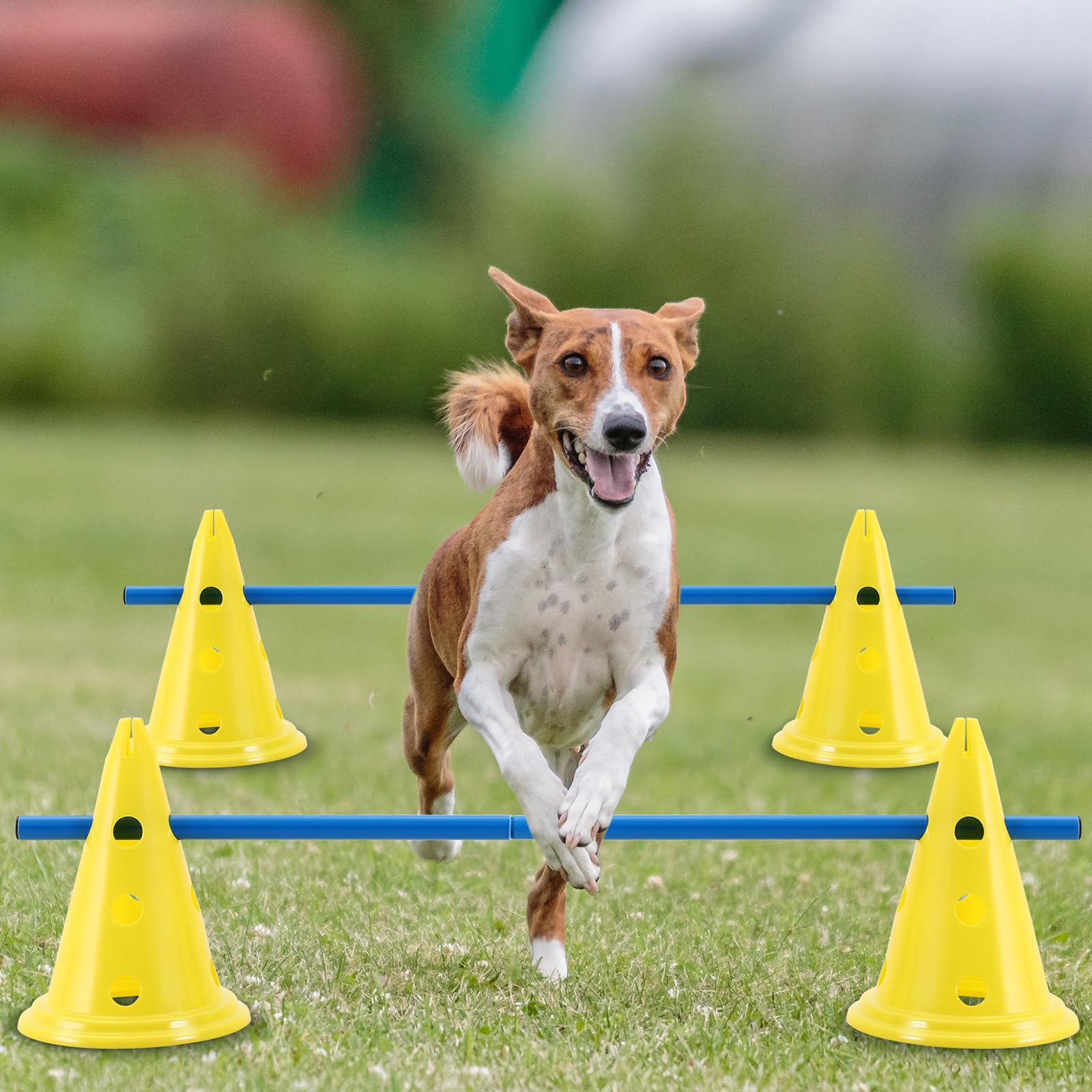**Dog Agility Training Set - 12 Cones & 6 Adjustable Rods for Backyard Obstacle Course | Outdoor Pet Exercise Equipment (Yellow & Blue) - Perfect for Backyard Training, Dog Sports & Fun Playtime**