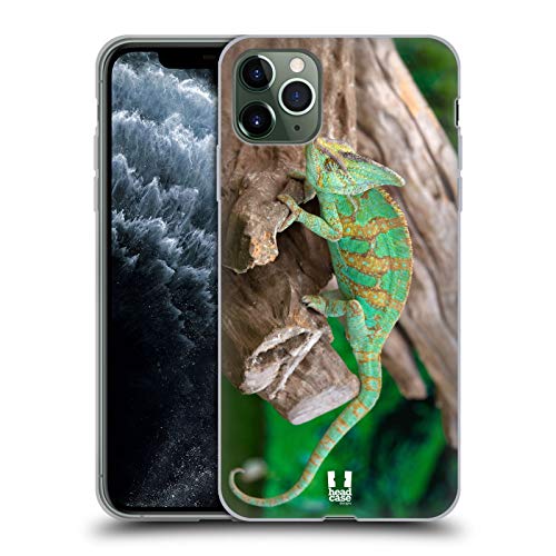 Chameleon