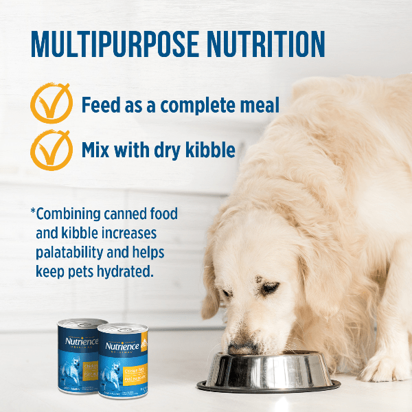 Nutrience Original Chicken Pate Canned Dog Food - Grain-Free Wet Food for Adult Dogs | Perfect for Picky Eaters & Mealtime Enrichment
