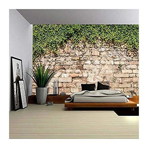 Green Vines Draping-2