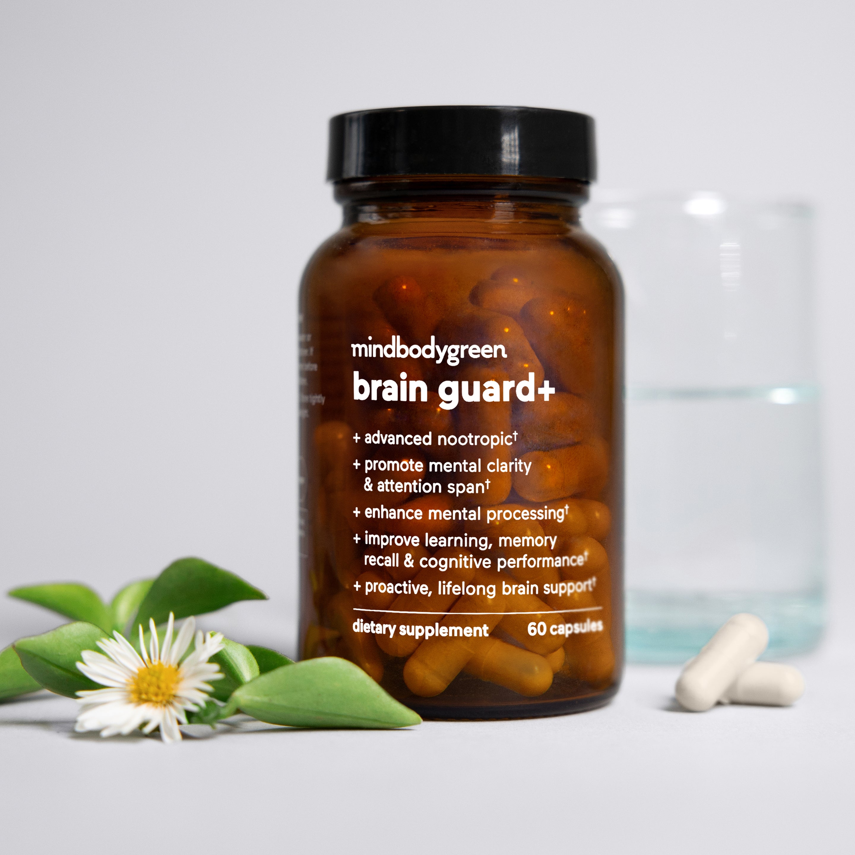 Brain Guard+ Nootropic Supplement for Memory & Focus - 6-Month Supply | Enhance Cognitive Performance for Work & Study