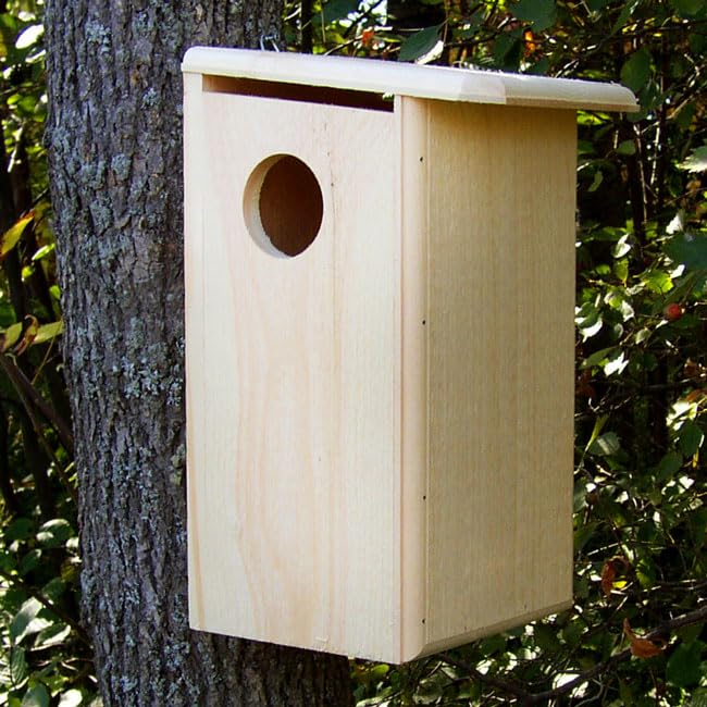 Squirrel House - Durable Outdoor Wooden Squirrel Nest Box for Backyard Wildlife Habitat - Perfect for Garden, Park & Nature Observation
