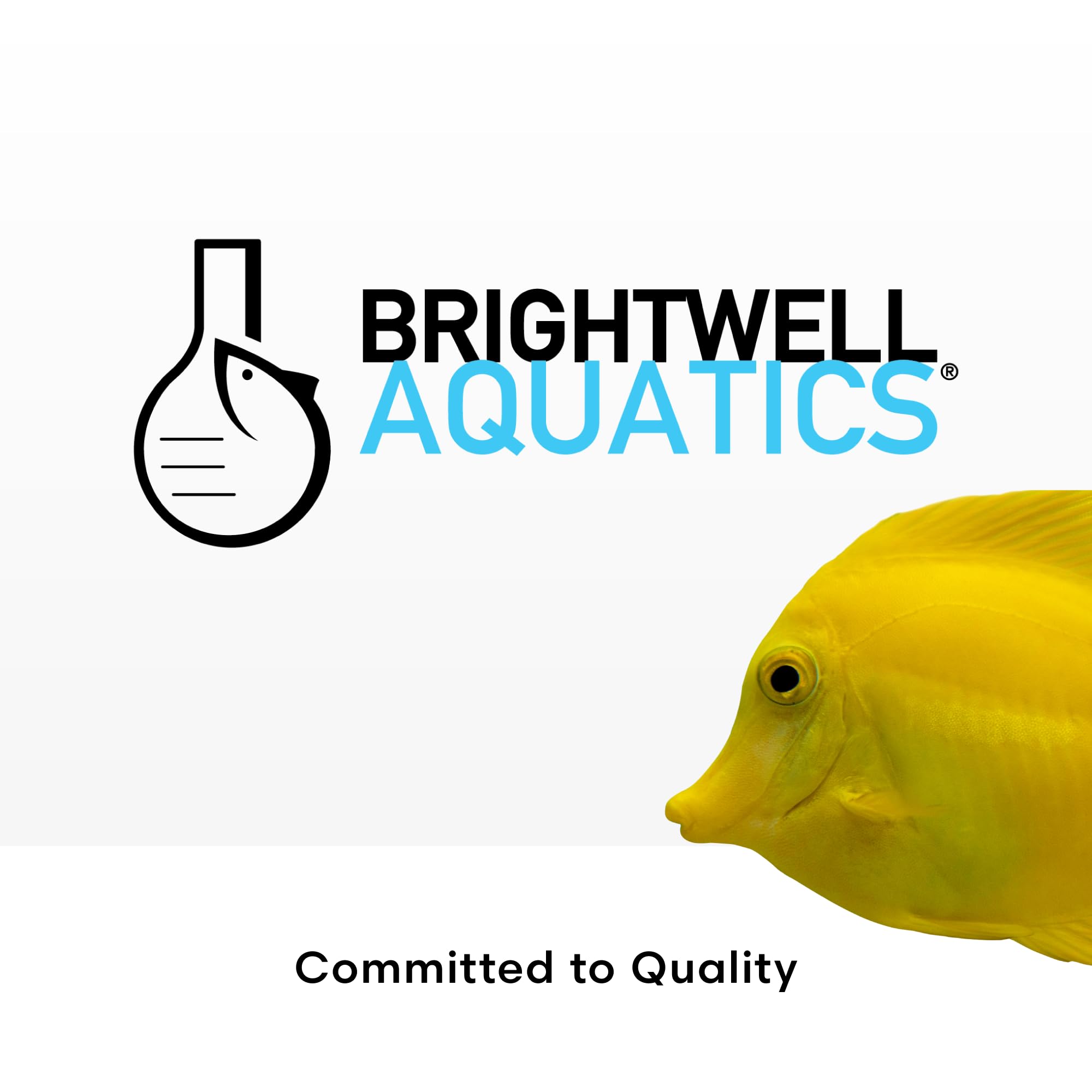 Brightwell MicroBacter7 Aquarium Biofilter - Saltwater & Freshwater Fish Tank Treatment (4.2oz) for Clean Water
