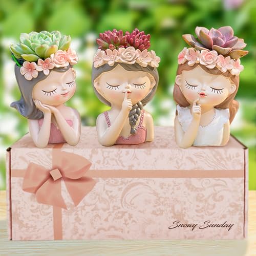 3-pack With Gift Boxed