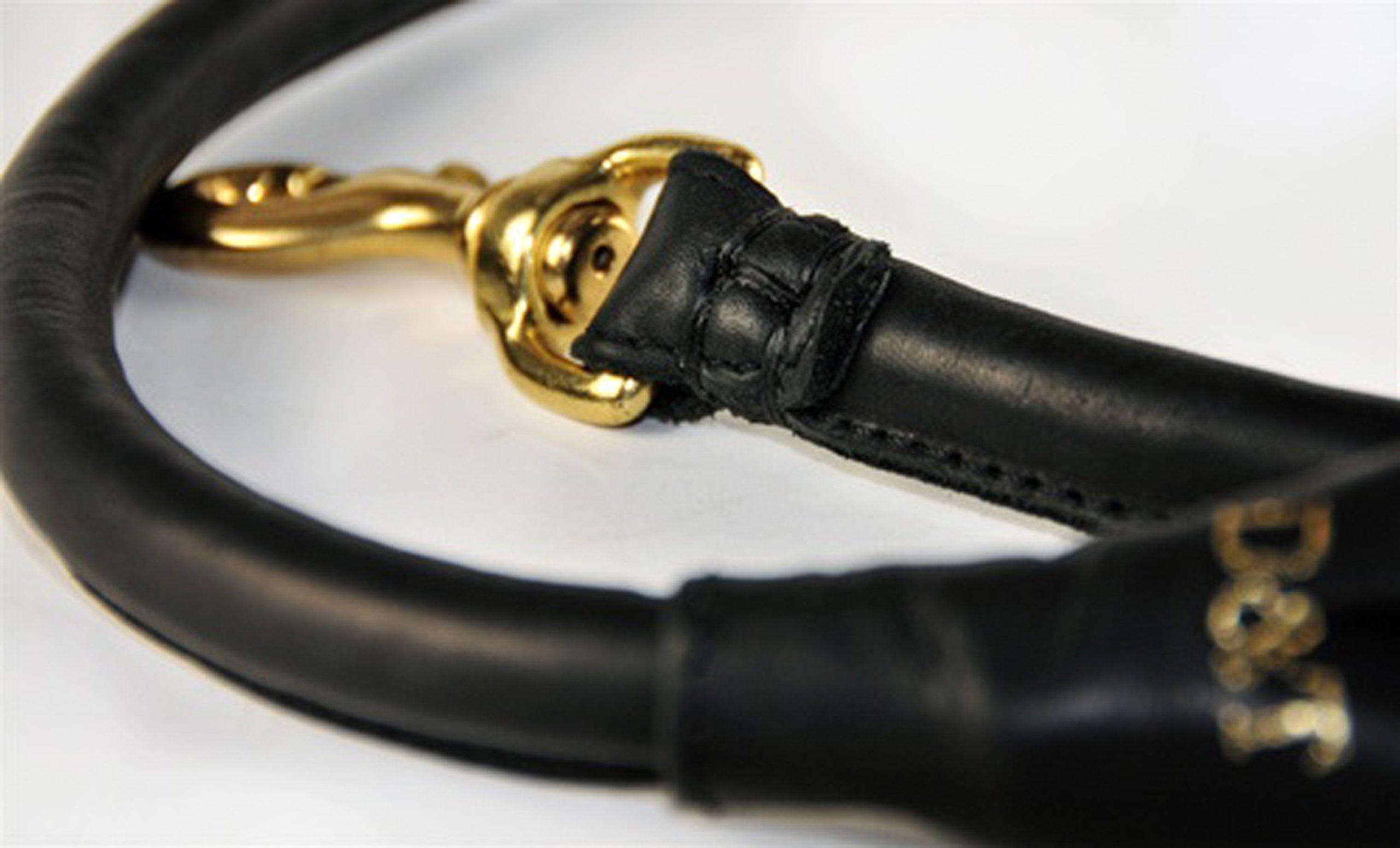 Dean and Tyler Tamed Beauty Rolled Leather Dog Leash - 2 Feet Long, 1/2 Inch Wide - Black with Solid Brass Hardware & Comfort Handle | Perfect for Small Dogs, Puppies, and Fashionable Pet Owners for Daily Walks & Outdoor Adventures