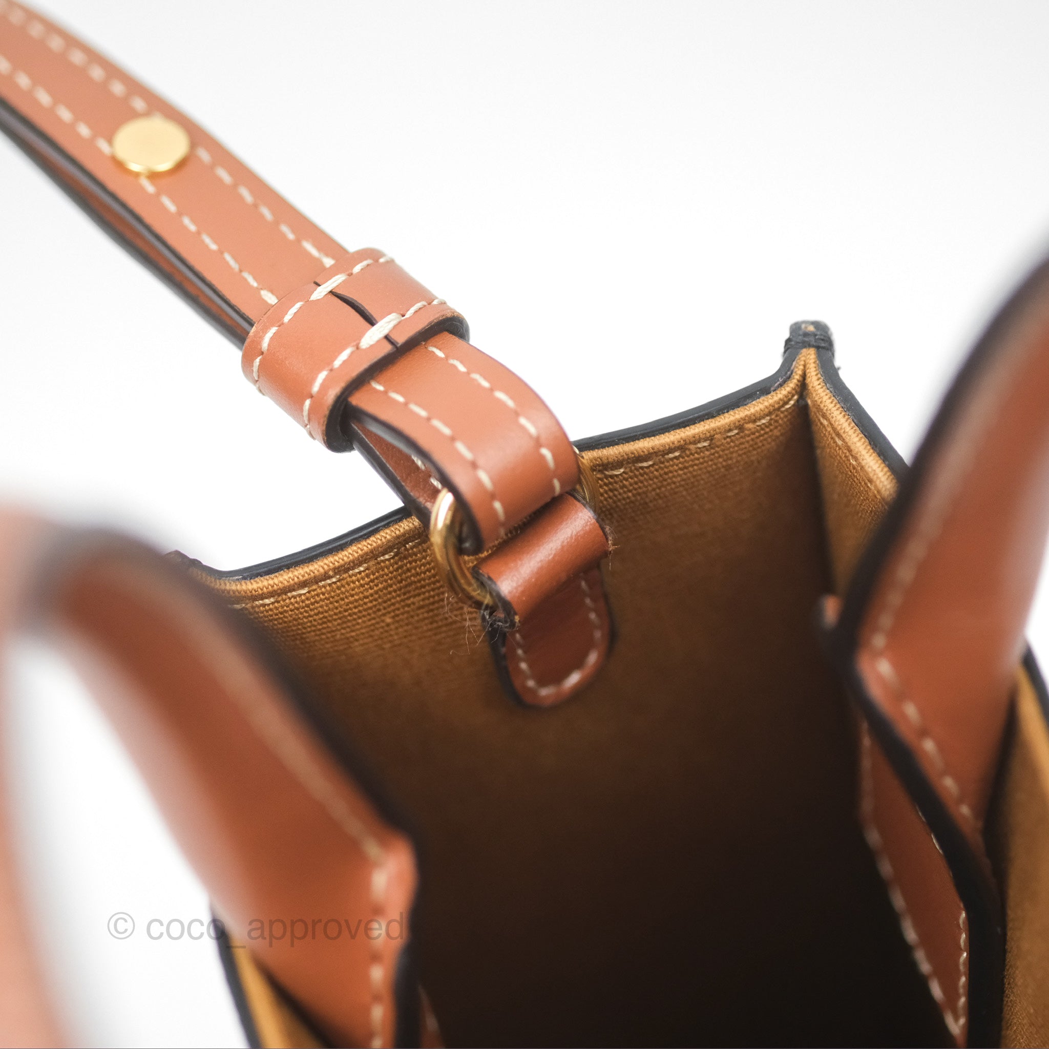 Celine Mini Vertical Cabas Bag Triomphe Canvas Tan Crossbody Shoulder Bag for Women - Perfect for Work, Travel & Everyday Use
