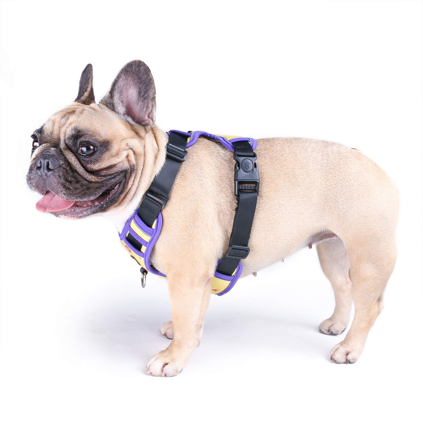 iChoue No Pull Dog Harness Vest - Soft Padded Adjustable Reflective Pet Vest for Small & Medium Dogs - Multi Colors - Perfect for Walking, Running & Outdoor Adventures
