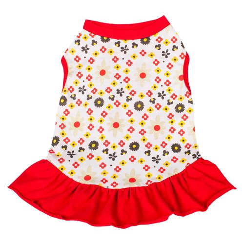 Red and Sunshine Yellow