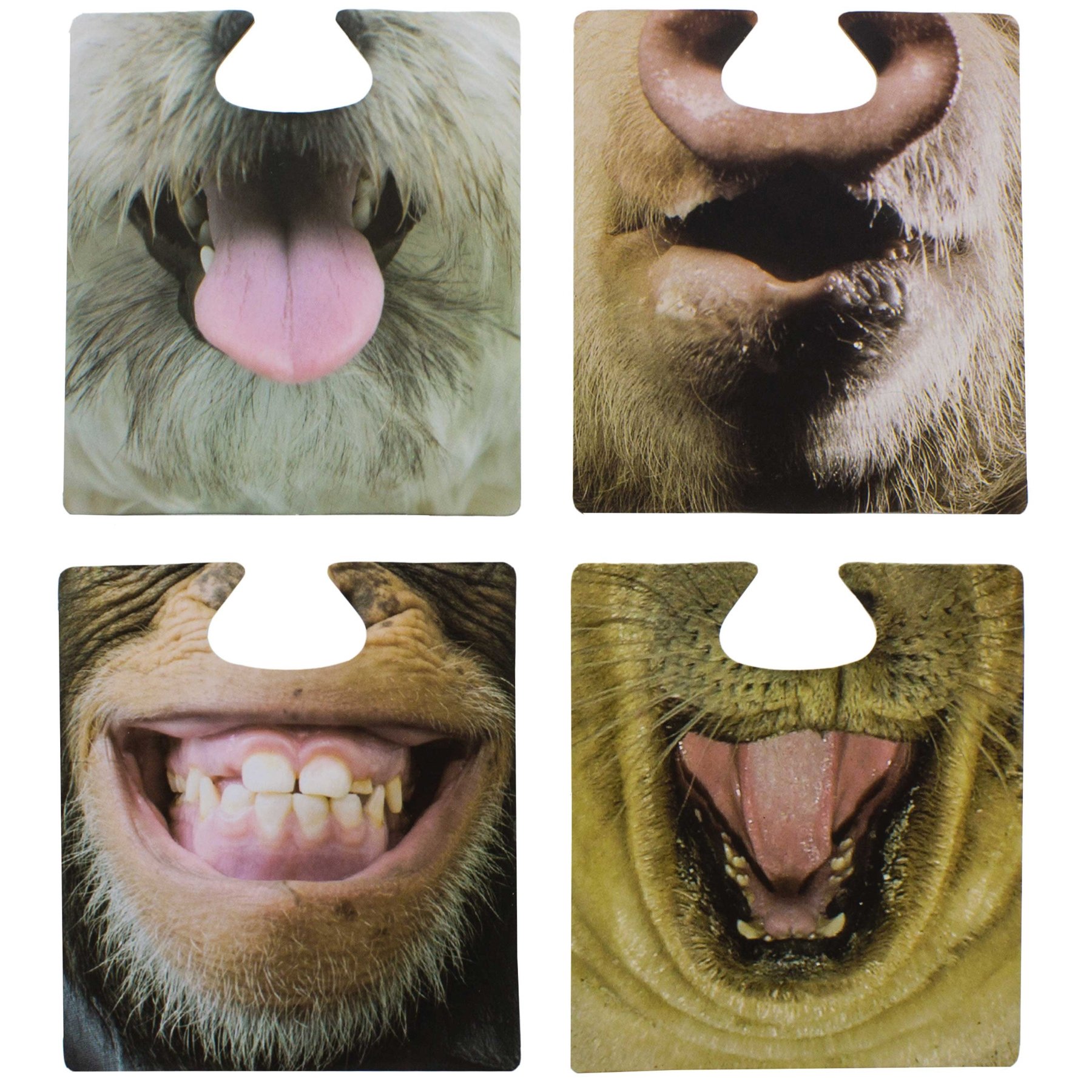 Paladone The Emporium Party Animal Face Coasters Set of 6 - Fun Novelty Drink Coasters for Home Bar, Game Room & Housewarming Gifts