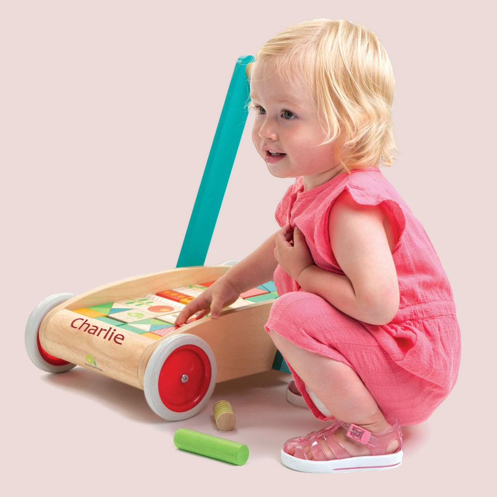 Personalized Classic Wooden Baby Block Walker - Perfect for First Steps, Learning & Playtime - Ideal Gift for Toddlers & Infants