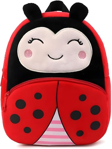 Lady Bug