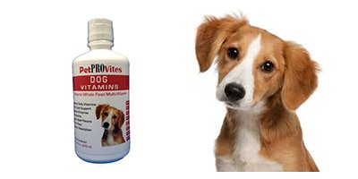 PetPROVites Premium Dog Vitamins for Joint Health & Immune Support - Essential Daily Supplement for Active & Senior Dogs