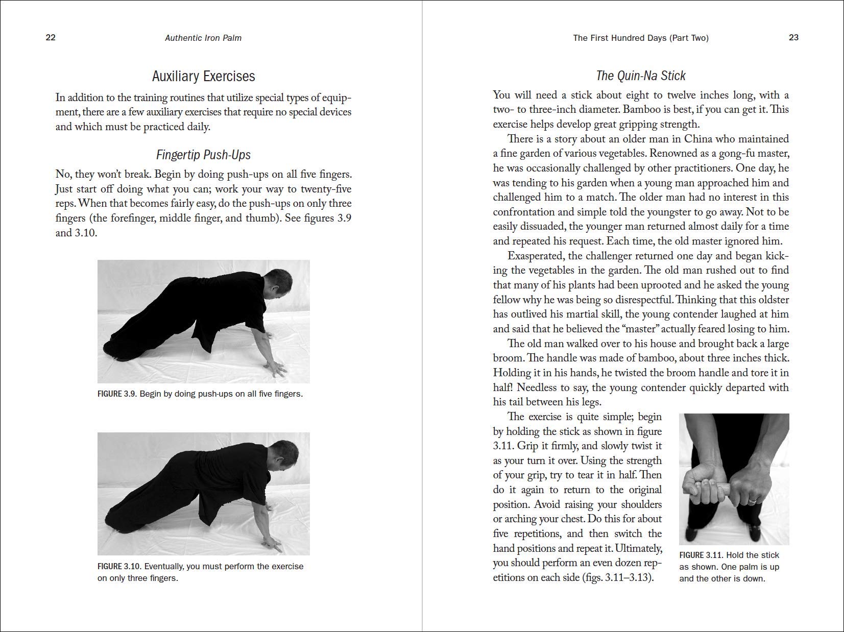 Authentic Iron Palm Training Manual - Complete Guide for Martial Arts & Self-Defense - Perfect for Kung Fu Practitioners & Combat Sports Enthusiasts