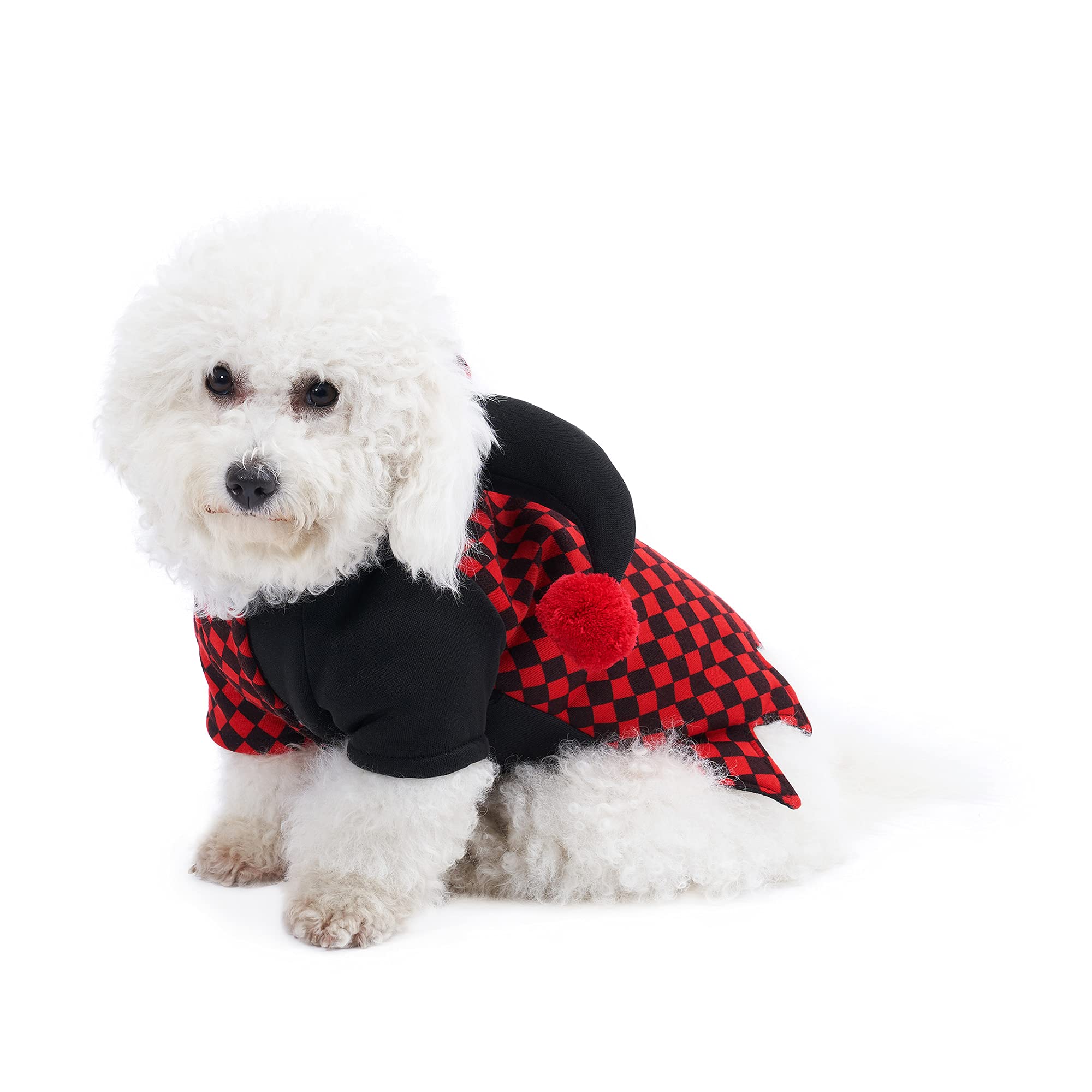 Cute Halloween Dog Costume for Small Dogs - XS Size | Pet Cosplay Outfit for Halloween Parties & Photo Shoots