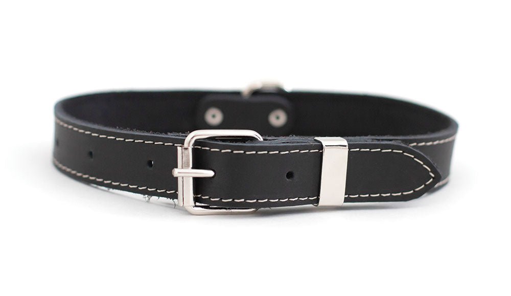 Premium Black Leather Dog Collar with Classic Buckle - Durable & Stylish for Small to Large Dogs - Perfect for Daily Walks, Training & Outdoor Adventures