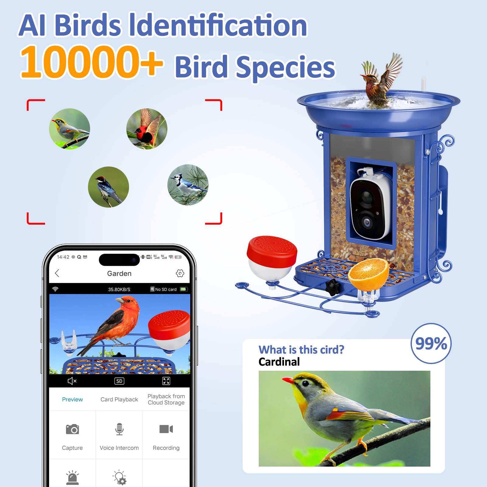 Smart Bird Feeder with Camera - 2K HD Wildlife Bird Feeder with AI Recognition for 11,000+ Species | Live Video Streaming & Motion Detection | Perfect Outdoor Bird Watching Gift for Nature Lovers (Backyard, Garden, Patio Use)
