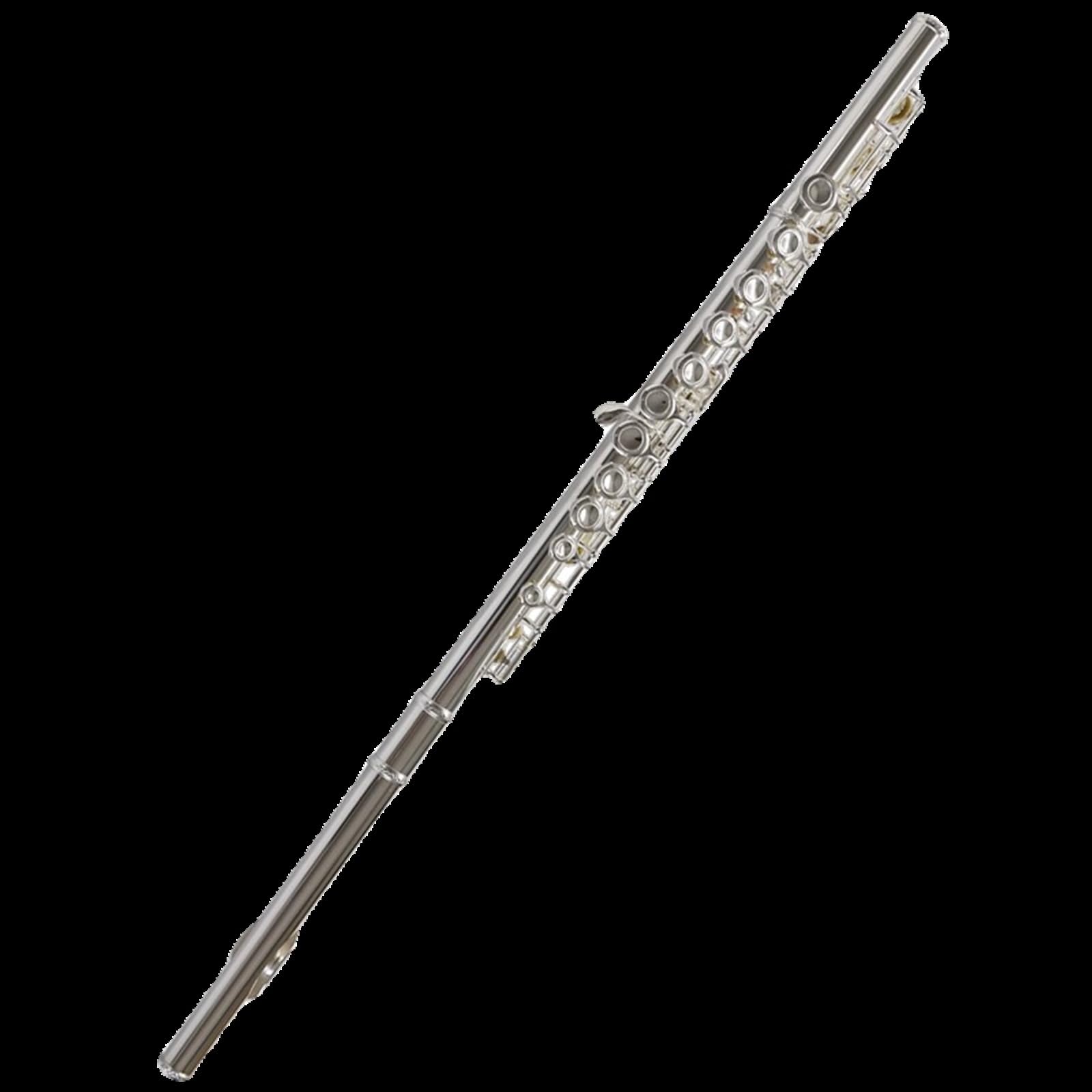 Professional C Key 16-Hole Closed Hole Flute for Beginners - Silver Plated Standard Flute Instrument with Case - Perfect for School Band, Music Lessons & Solo Performances