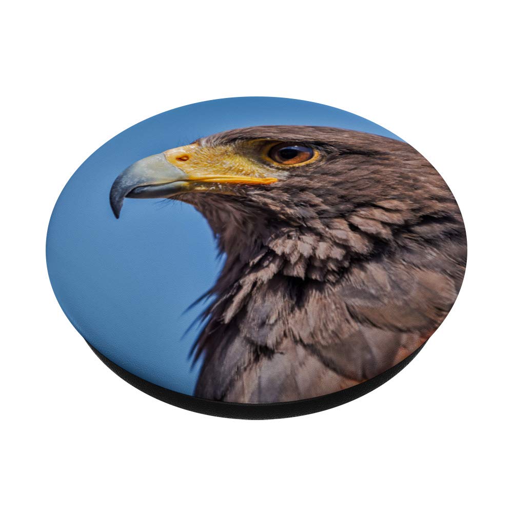Hawk PopSockets PopGrip - Interchangeable Phone Grip Stand for iPhone, Samsung & Tablets | Perfect for Selfies, Video Calls & Secure Holding