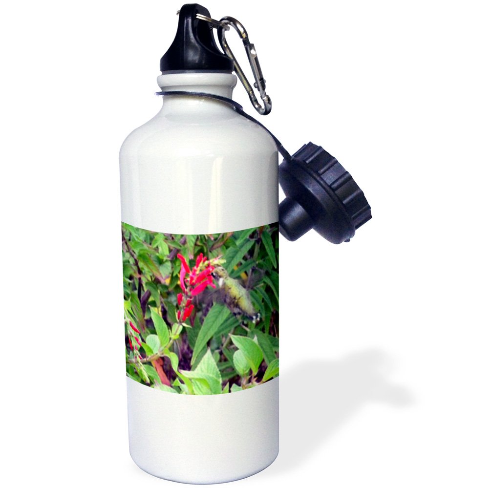 3D Rose Bee Balm and Hummingbird Insulated Sports Water Bottle - 21oz Leakproof BPA-Free Gym Bottle for Running, Hiking & Outdoor Activities | White