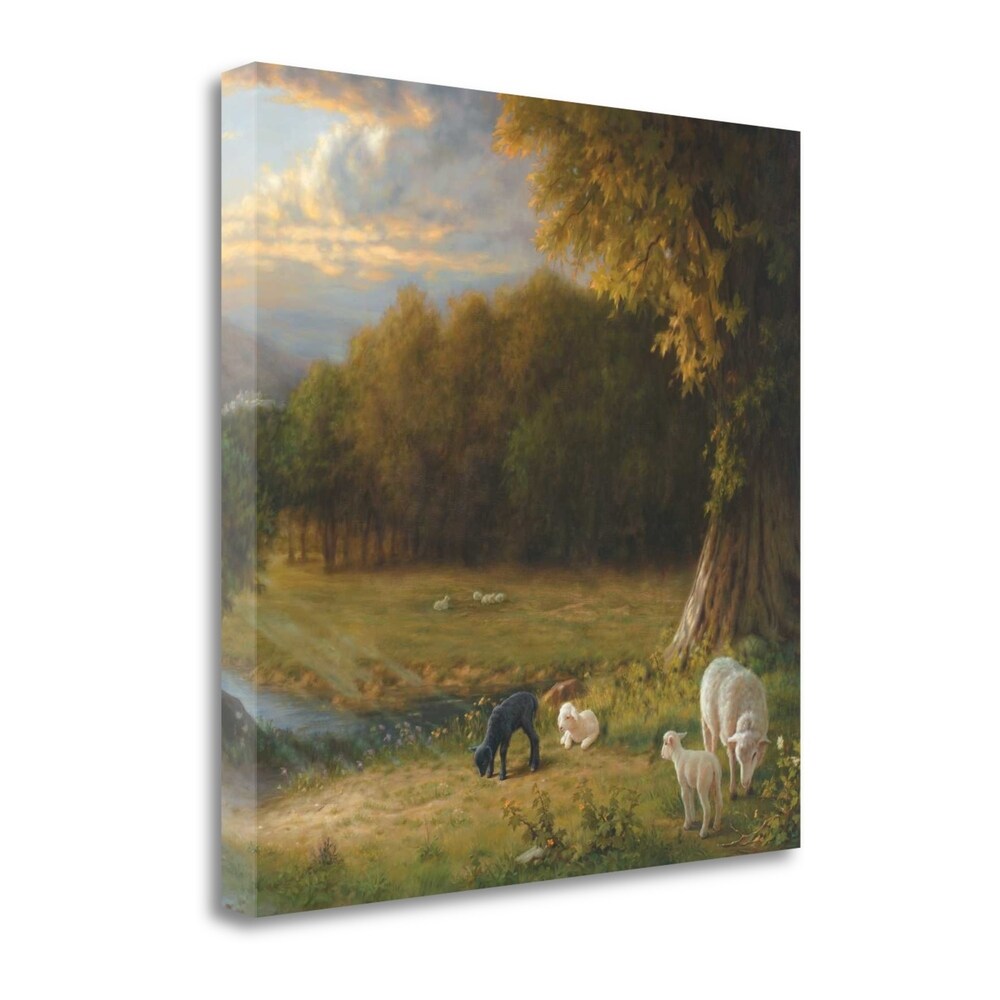 Black Sheep by Mark Missman - Premium Fine Art Giclee Print on Gallery Wrapped Canvas - Handmade Wall Art Decor - Ready to Hang for Living Room, Bedroom, Office & Home Decor