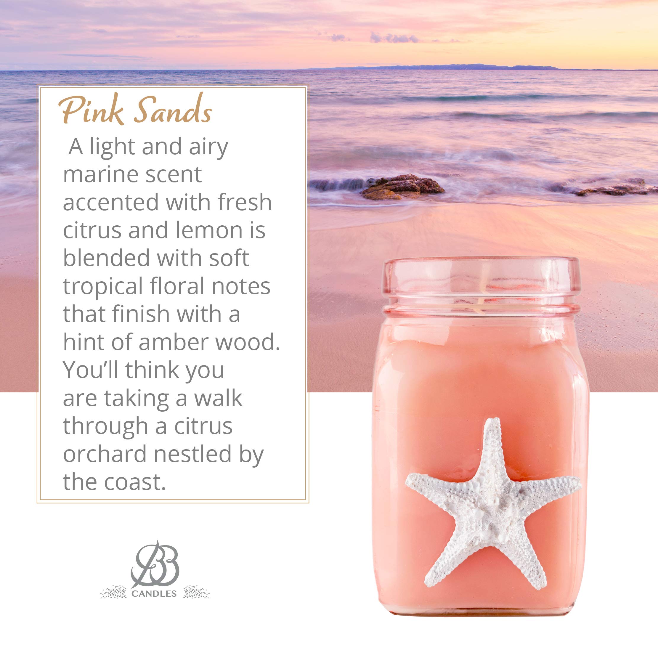 Artisan Hand-Poured Mermaid Shore Soy Wax Candle - 8oz Natural Coastal Candle with Long-Lasting Pink Sands Citrus Fragrance (50+ Hours Burn Time) - Perfect for Beach House Decor, Spa Relaxation & Romantic Gifts