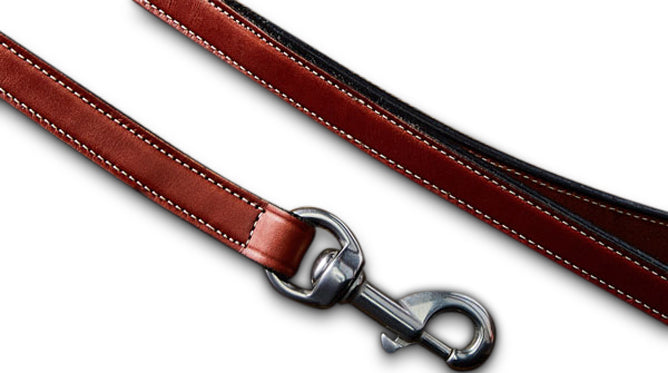 Old Reliable Dog Leash - Durable & Strong Pet Walking Lead for Small, Medium & Large Dogs - Perfect for Daily Walks, Hiking & Outdoor Adventures