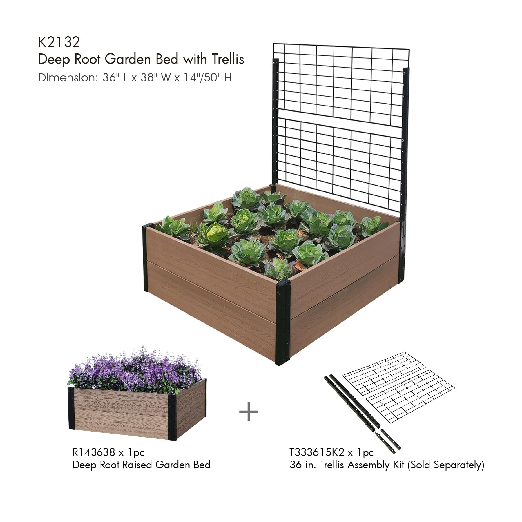 Everbloom 36