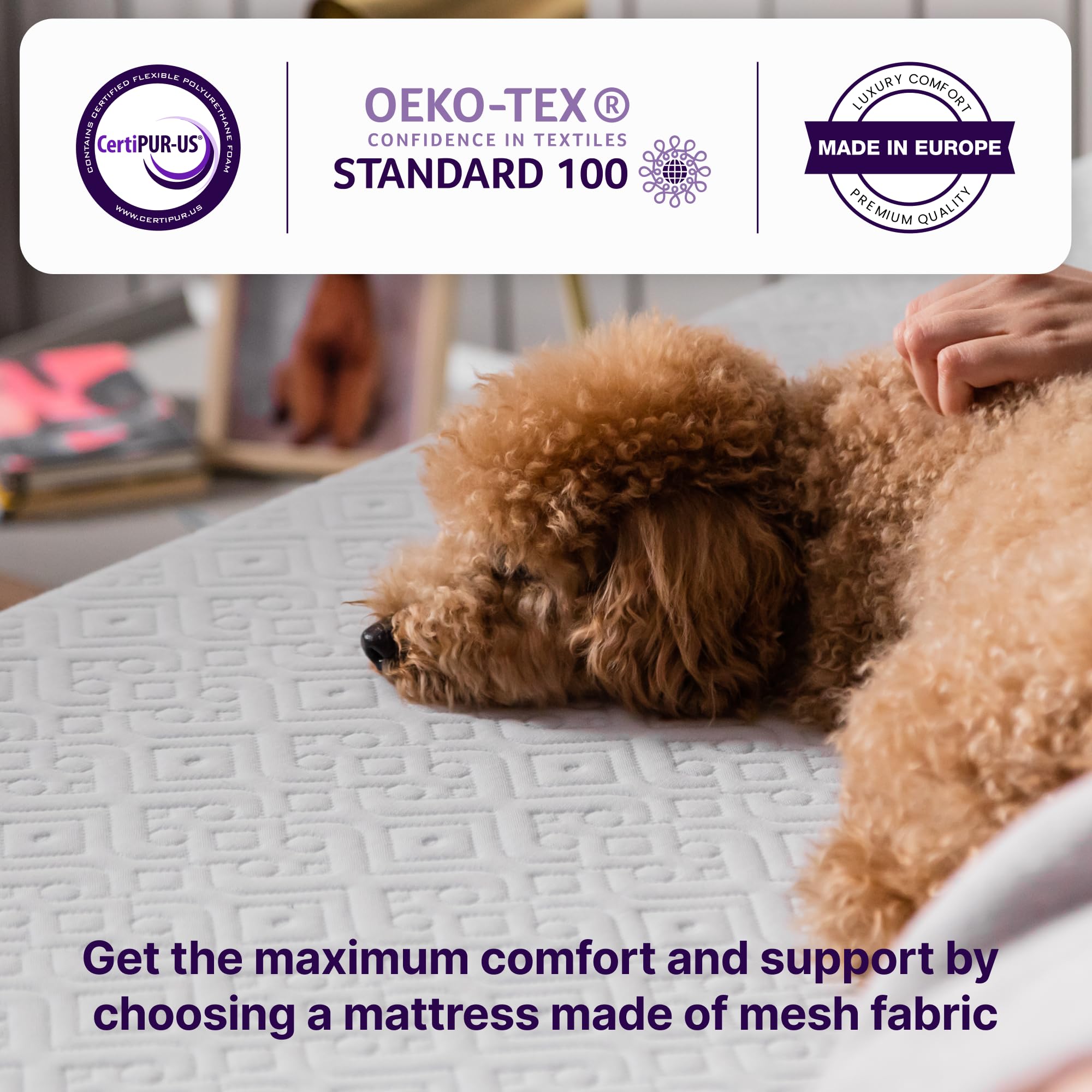 NapQueen 10 Inch Twin Cooling Gel Memory Foam Mattress - CertiPUR-US Certified, Medium Firm Support, Breathable Soft Cover - Perfect for Kids' Rooms, Guest Beds & Dorm Rooms - Mattress in a Box for Easy Setup