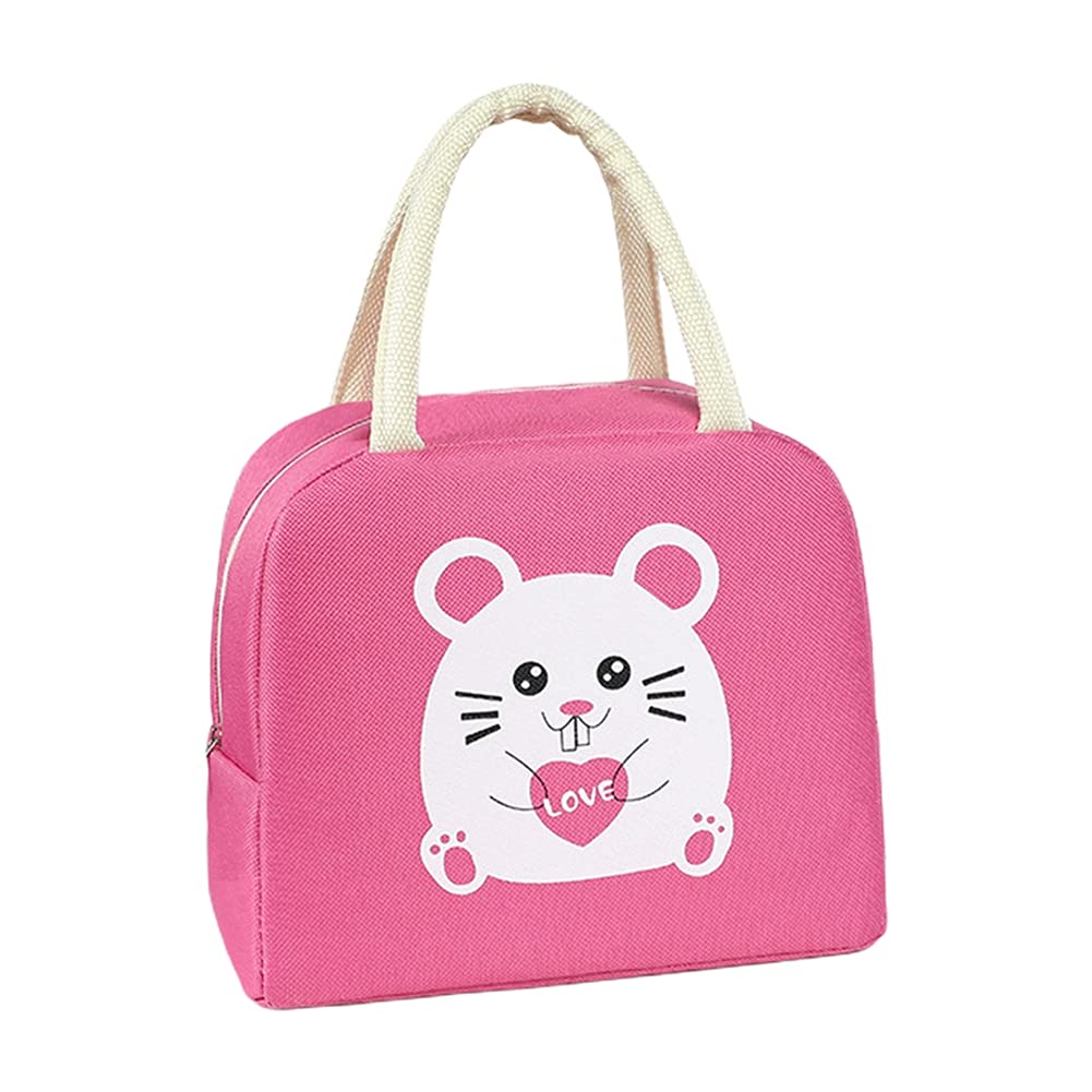 U-BUYHOUSE Insulated Lunch Bag for Women & Men - Leakproof Reusable Lunch Box with Waterproof Insulation, Perfect for Picnic, Travel, School & Office