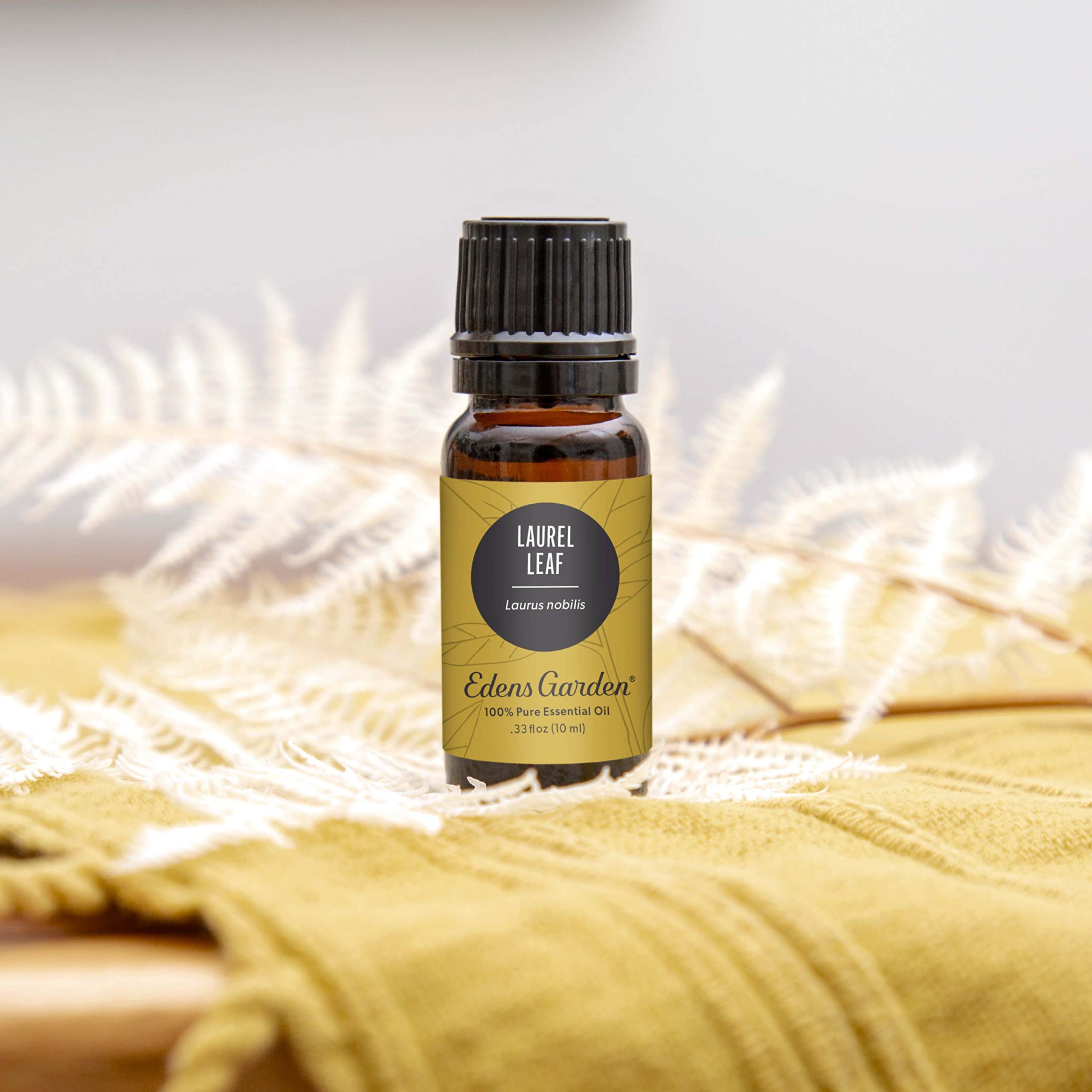 **Edens Garden Laurel Leaf Essential Oil - 100% Pure, Undiluted, Therapeutic Grade for Aromatherapy, Diffusers, Skin Care, Candles & Humidifiers (10ml / 0.33 fl oz) - Relaxation, Stress Relief & Home Fragrance**